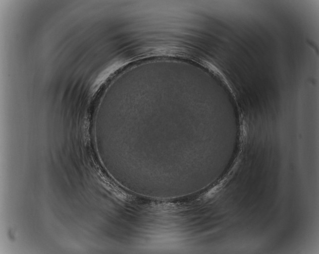 X0000103321019200809121143