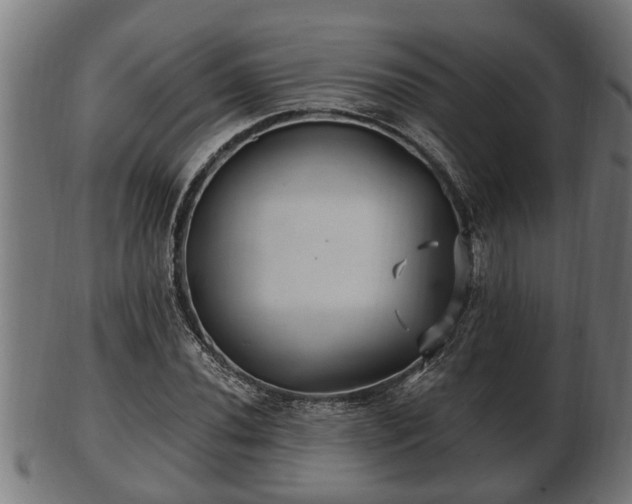 X0000103321020200809121143