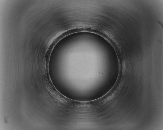 X0000103321021200809121143