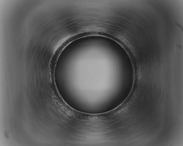 X0000103321022200809121143