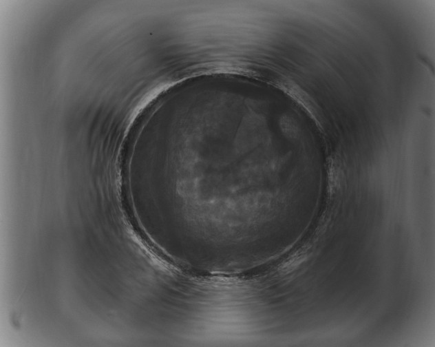 X0000103321024200809121143