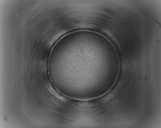 X0000103321025200809121143