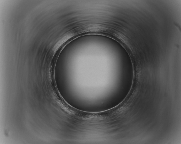 X0000103321026200809121143