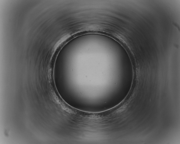 X0000103321029200809121143