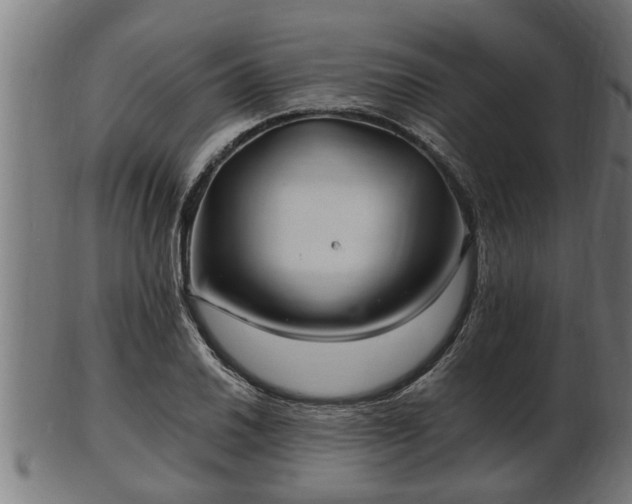 X0000103321030200809121143