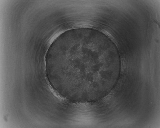 X0000103321031200809121143