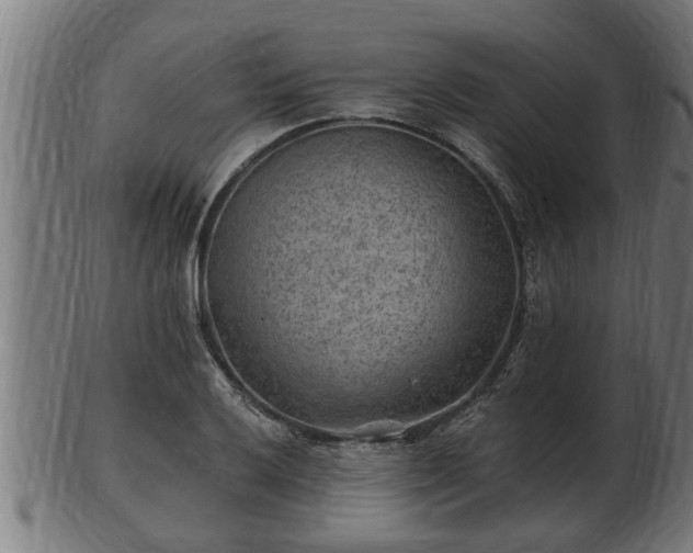 X0000103321032200809121143