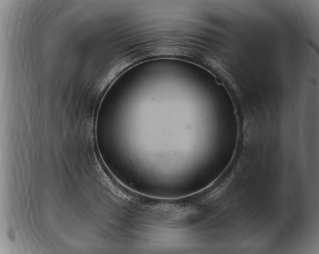 X0000103321033200809121143