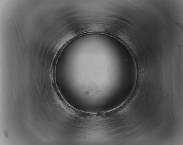 X0000103321034200809121143