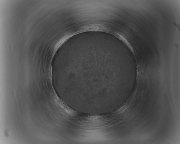 X0000103321035200809121143