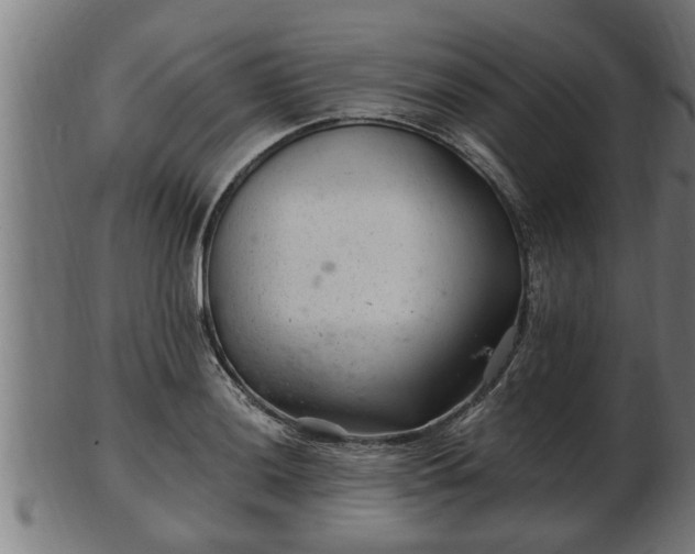 X0000103321036200809121143