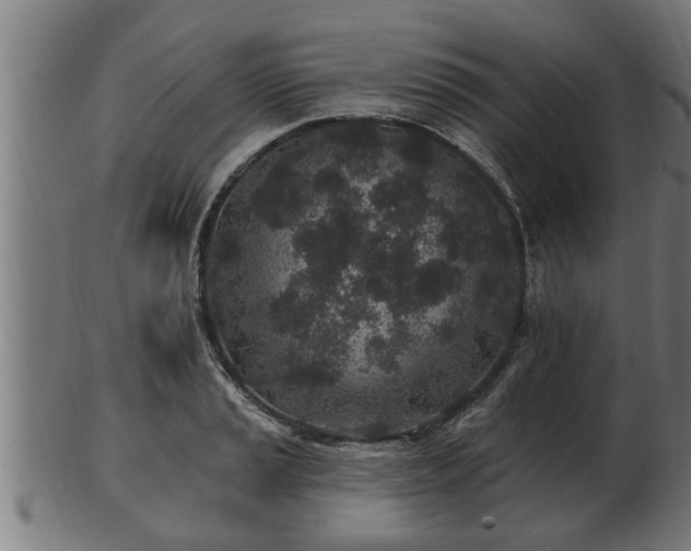 X0000103321037200809121143