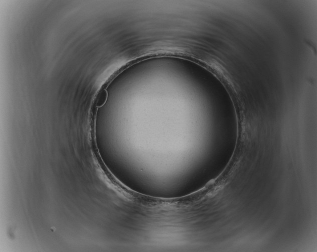 X0000103321038200809121143