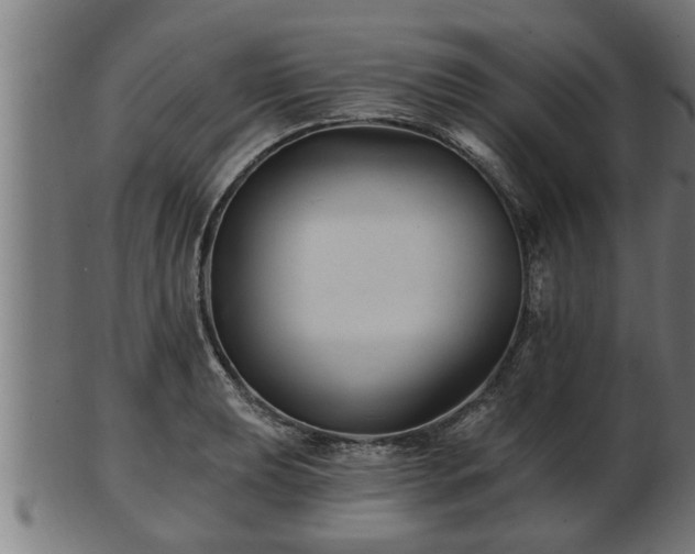 X0000103321039200809121143