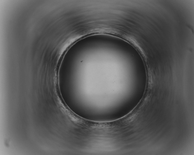 X0000103321040200809121143