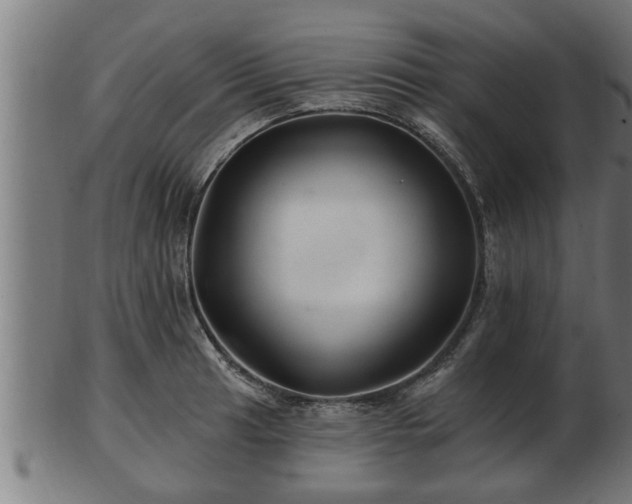 X0000103321041200809121143