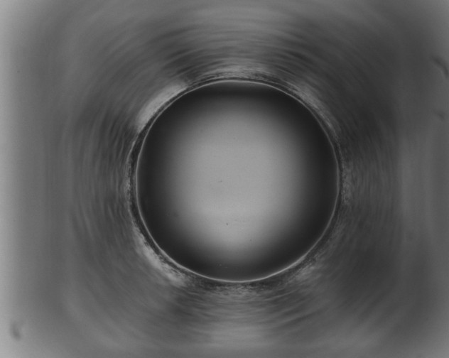 X0000103321042200809121143