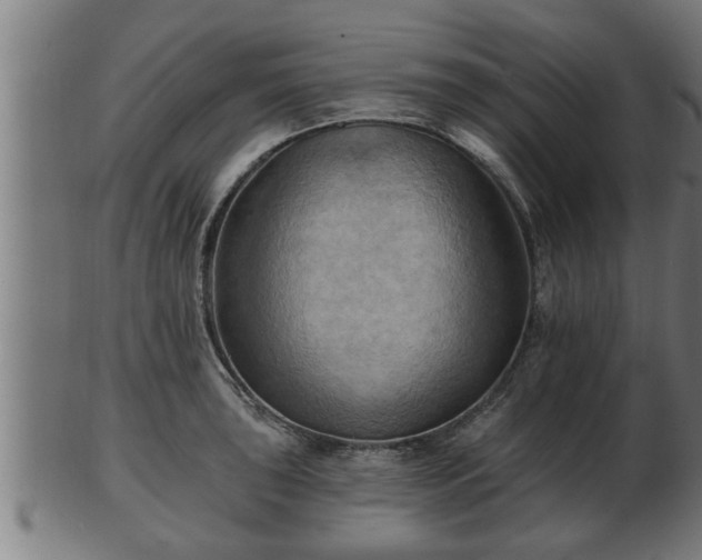 X0000103321043200809121143