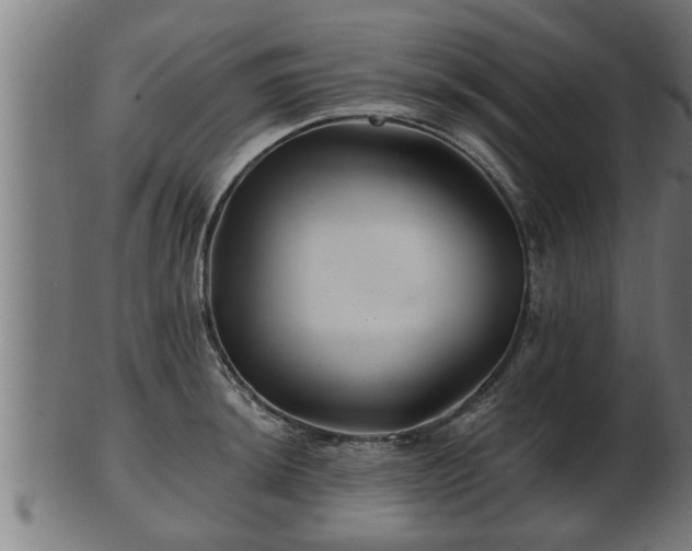 X0000103321044200809121143