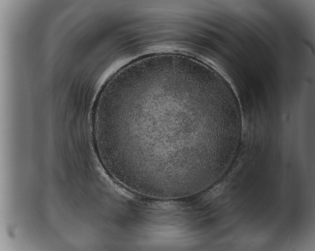 X0000103321045200809121143