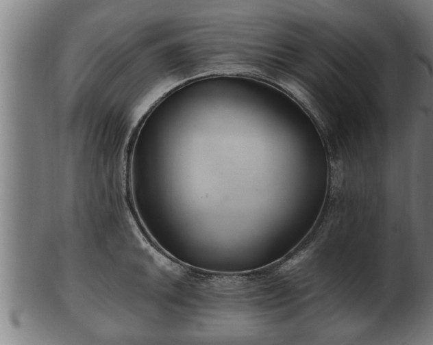 X0000103321046200809121143