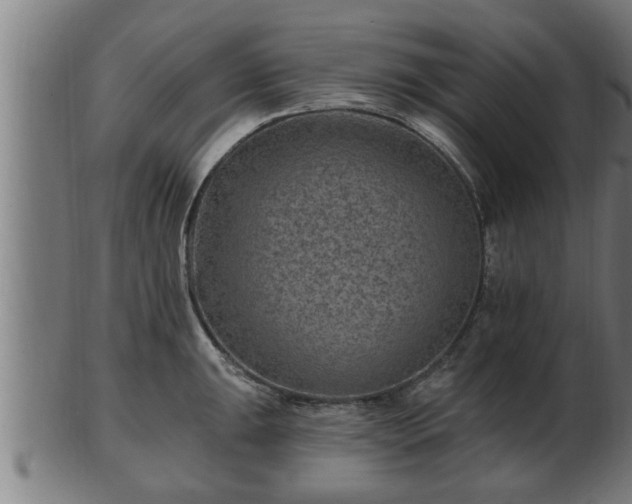 X0000103321047200809121143