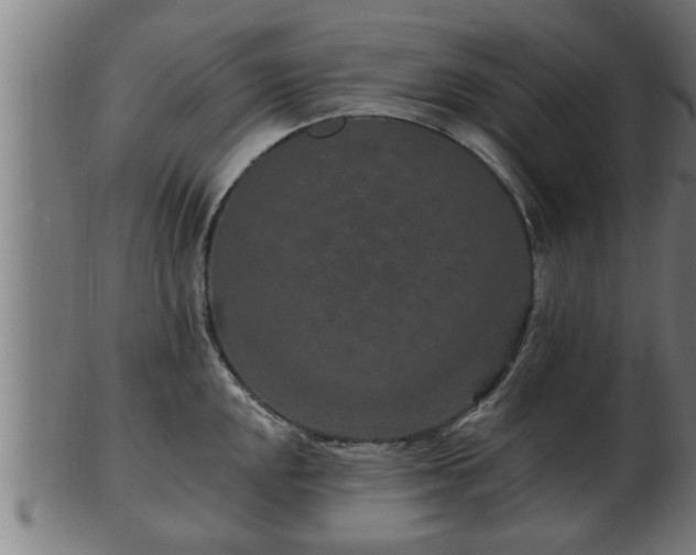 X0000103321048200809121143