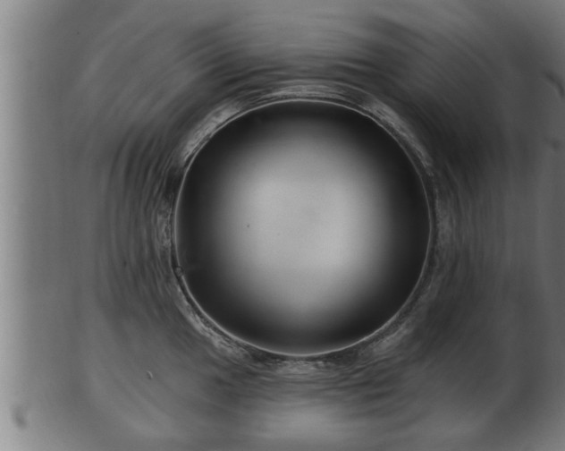 X0000103321049200809121143