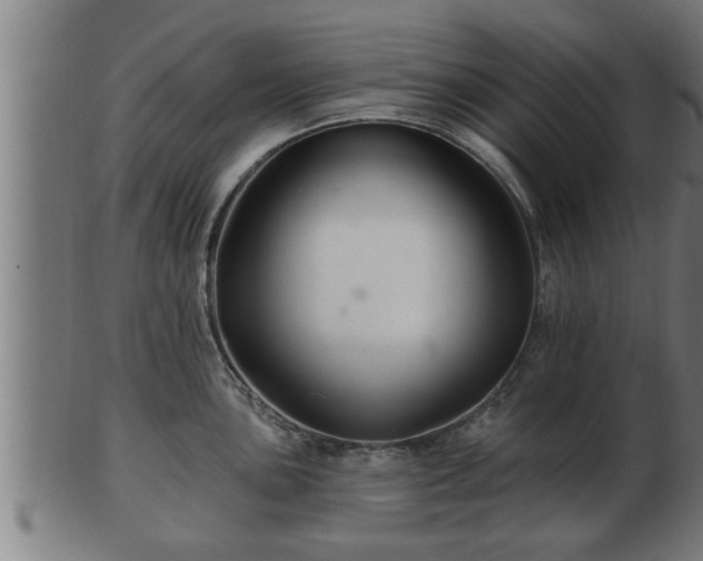 X0000103321051200809121143