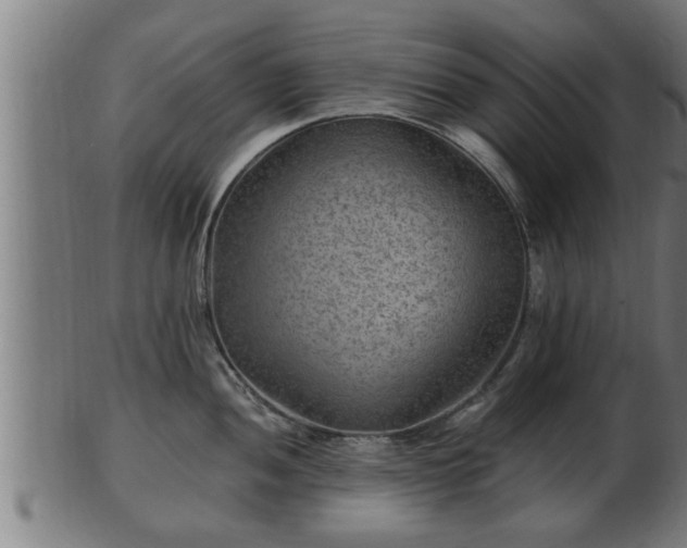 X0000103321052200809121143