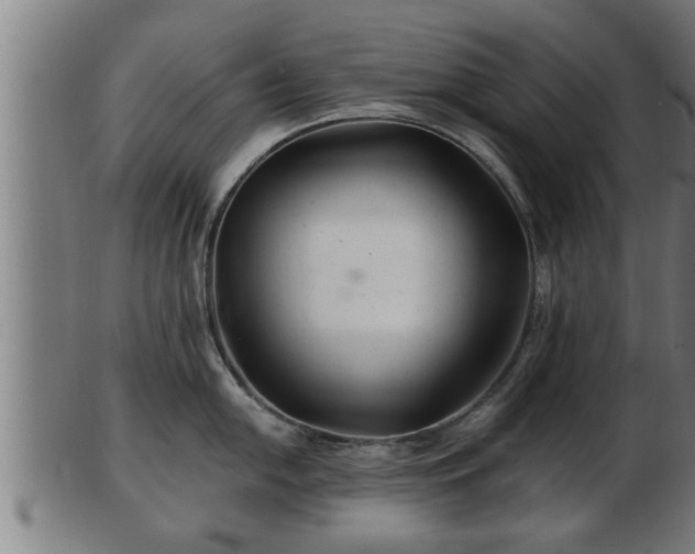 X0000103321054200809121143