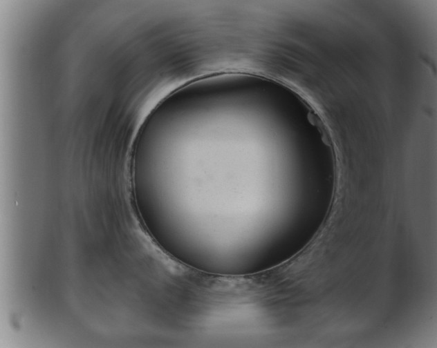 X0000103321056200809121143