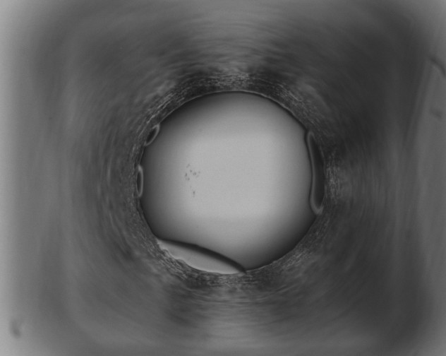 X0000103321057200809121143