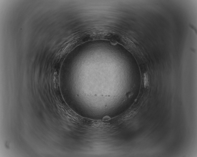 X0000103321059200809121142