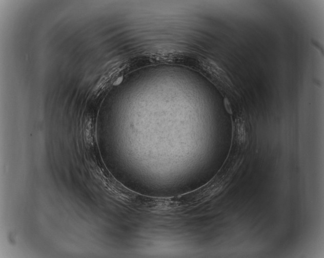 X0000103321060200809121142