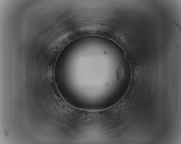 X0000103321062200809121142