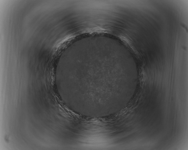 X0000103321063200809121142