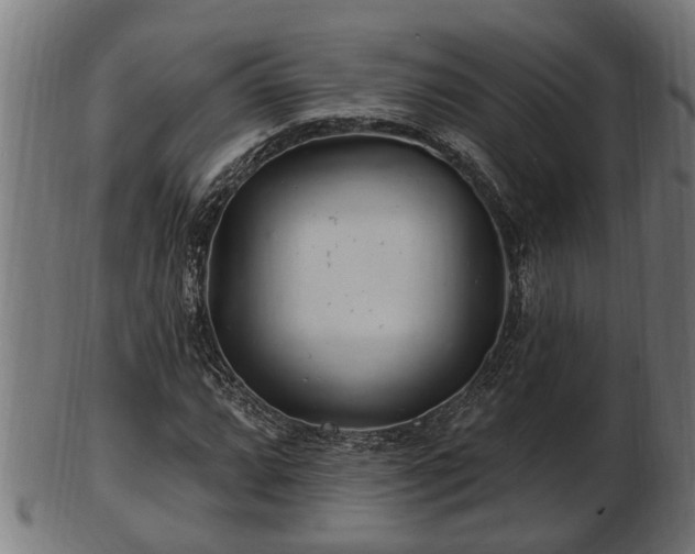 X0000103321064200809121142