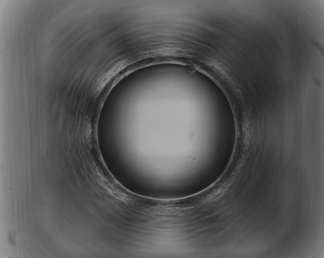 X0000103321065200809121142