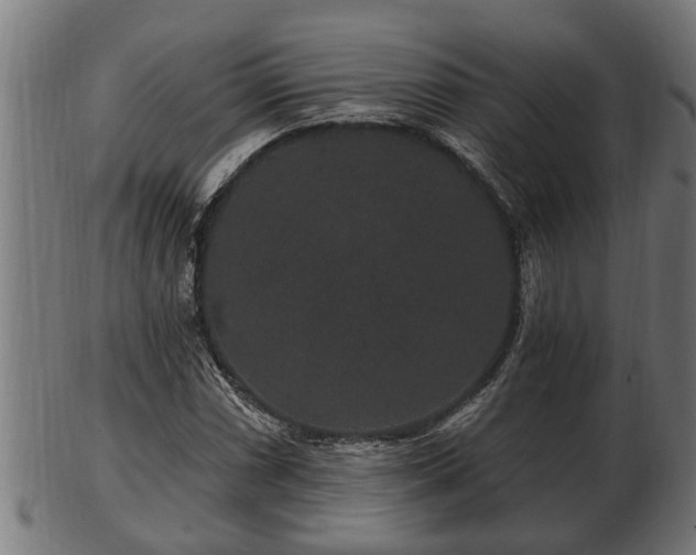 X0000103321066200809121142