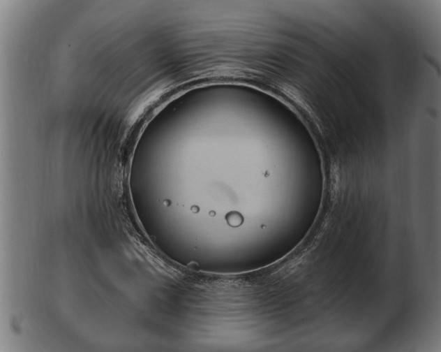 X0000103321067200809121142