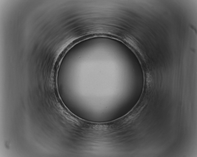 X0000103321068200809121142