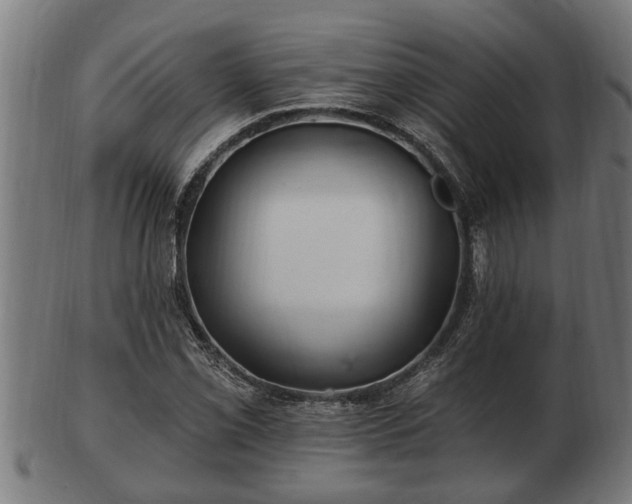 X0000103321069200809121142