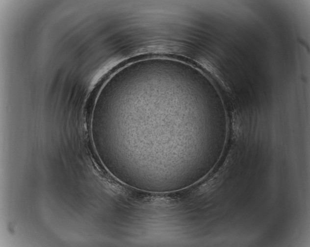 X0000103321070200809121142