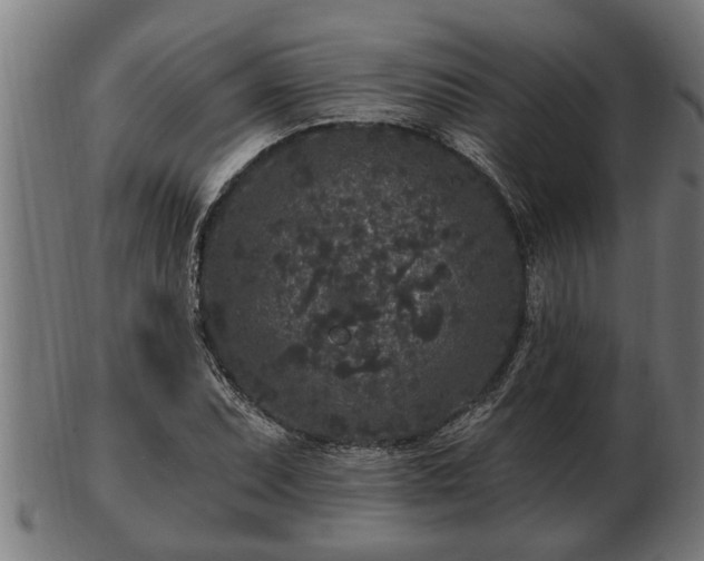 X0000103321071200809121142