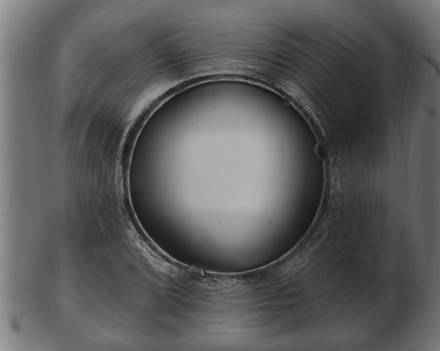 X0000103321072200809121142