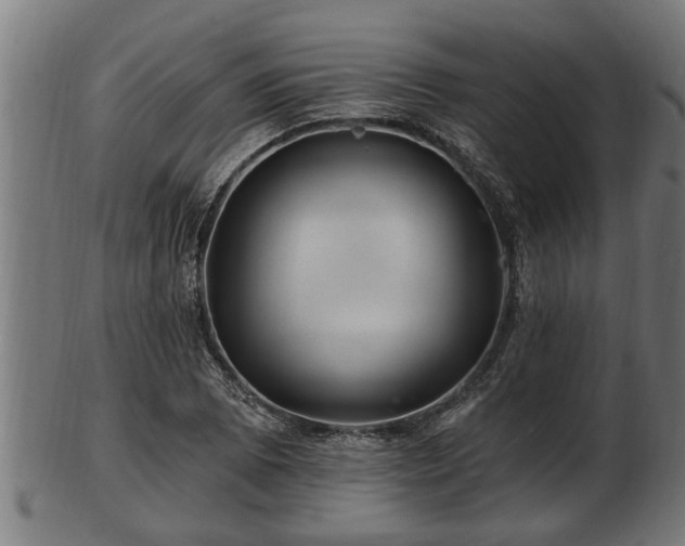 X0000103321073200809121142