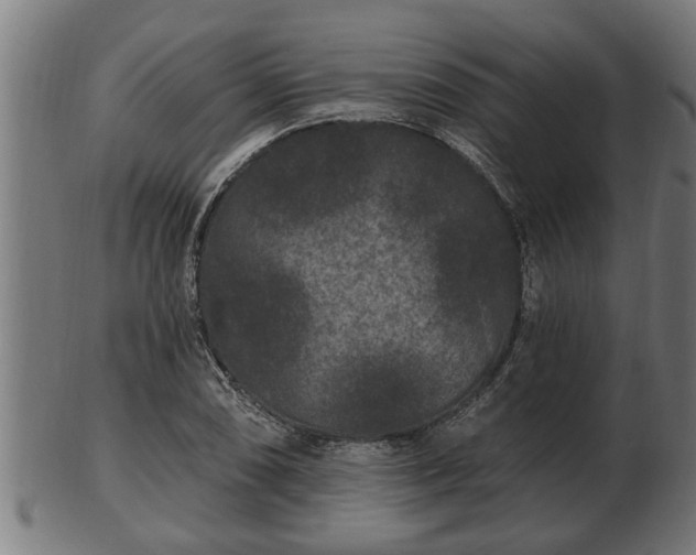 X0000103321074200809121142