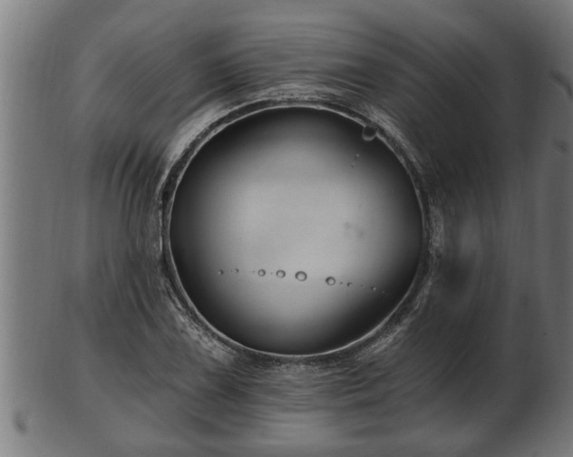 X0000103321075200809121142