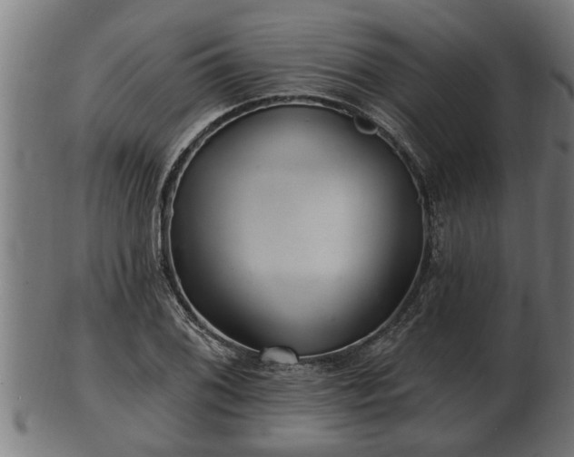 X0000103321076200809121142